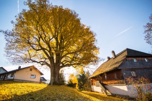 Bayerisch Eisenstein, Foto: Bavarian Heart Photography - Archiv Tourist Info