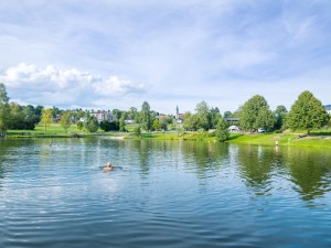 Neuschönau