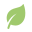 leaf.png